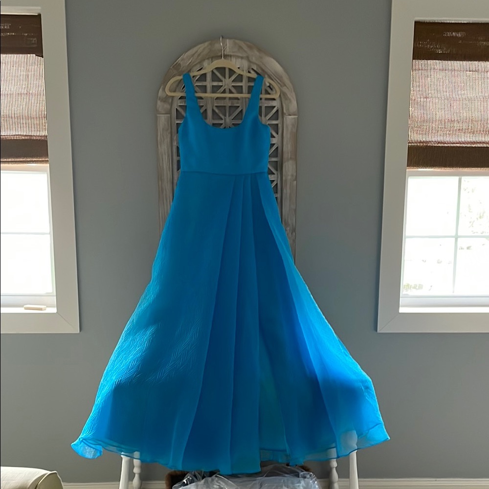 Monique Lhuillier Clara Organza Dress